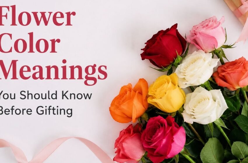  Flower Color Meanings You Should Know Before Gifting