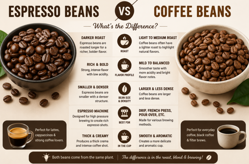  Espresso Beans vs Coffee Beans — What’s Actually Different?